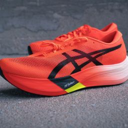 کفش های رانینگ اسیکس